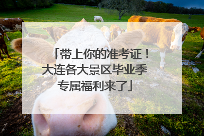 带上你的准考证！大连各大景区毕业季专属福利来了