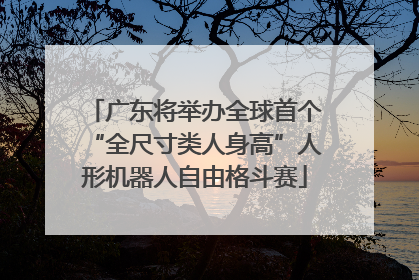 广东将举办全球首个“全尺寸类人身高”人形机器人自由格斗赛