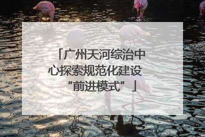 广州天河综治中心探索规范化建设“前进模式”