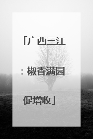 广西三江：椒香满园促增收