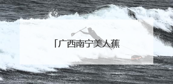 广西南宁美人蕉绽放美不胜收