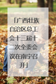广西壮族自治区总工会十三届十二次全委会议在南宁召开