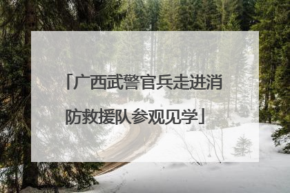 广西武警官兵走进消防救援队参观见学