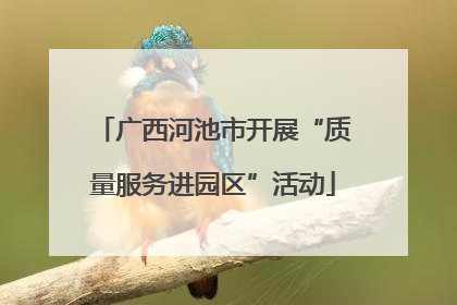 广西河池市开展“质量服务进园区”活动