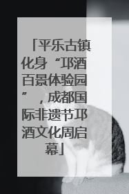 平乐古镇化身“邛酒百景体验园”，成都国际非遗节邛酒文化周启幕