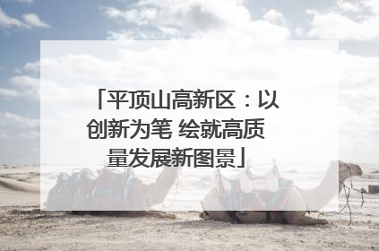 平顶山高新区：以创新为笔 绘就高质量发展新图景