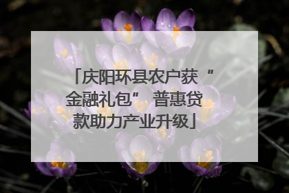 庆阳环县农户获“金融礼包” 普惠贷款助力产业升级