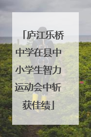 庐江乐桥中学在县中小学生智力运动会中斩获佳绩