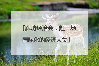 廊坊经洽会，赶一场国际化的经济大集