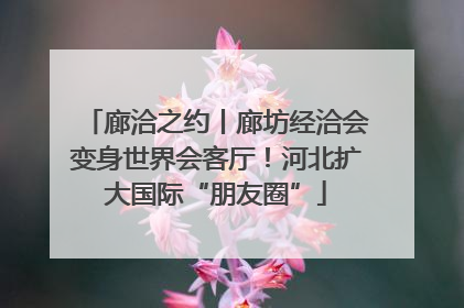 廊洽之约丨廊坊经洽会变身世界会客厅！河北扩大国际“朋友圈”