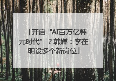 开启“AI百万亿韩元时代”？韩媒：李在明设多个新岗位