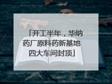 开工半年，华纳药厂原料药新基地四大车间封顶