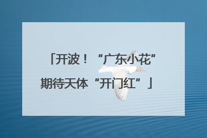开波！“广东小花”期待天体“开门红”