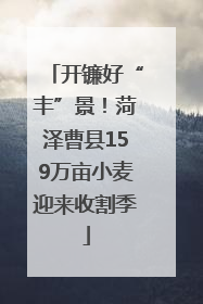 开镰好“丰”景！菏泽曹县159万亩小麦迎来收割季