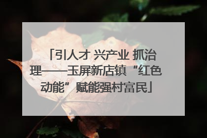 引人才 兴产业 抓治理——玉屏新店镇“红色动能”赋能强村富民