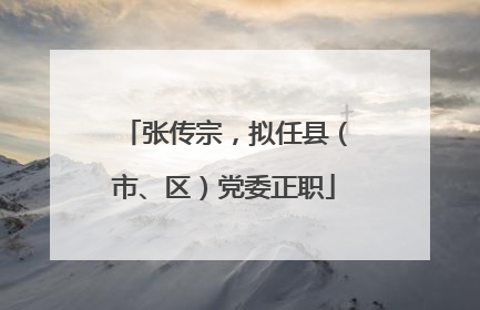 张传宗，拟任县（市、区）党委正职