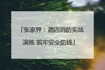张家界：酒店消防实战演练 筑牢安全防线