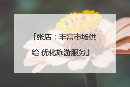张店：丰富市场供给 优化旅游服务