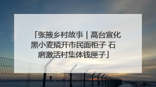 张掖乡村故事｜高台宣化黑小麦撬开市民面柜子 石磨激活村集体钱匣子
