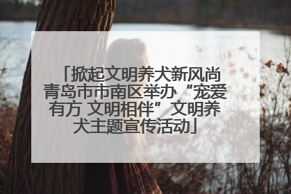 掀起文明养犬新风尚 青岛市市南区举办“宠爱有方 文明相伴”文明养犬主题宣传活动