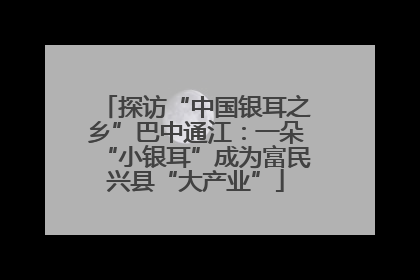 探访“中国银耳之乡”巴中通江：一朵“小银耳”成为富民兴县“大产业”