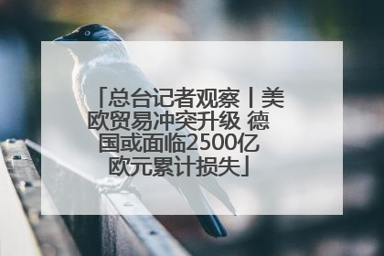 总台记者观察丨美欧贸易冲突升级 德国或面临2500亿欧元累计损失