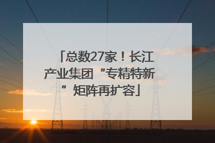 总数27家！长江产业集团“专精特新”矩阵再扩容