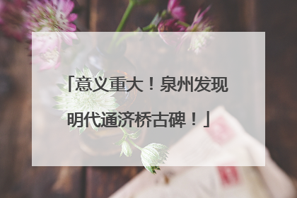 意义重大！泉州发现明代通济桥古碑！