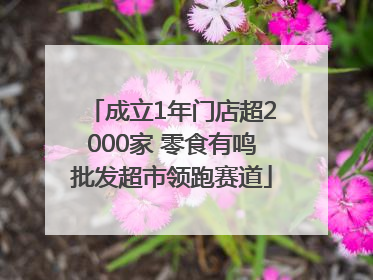 成立1年门店超2000家 零食有鸣批发超市领跑赛道