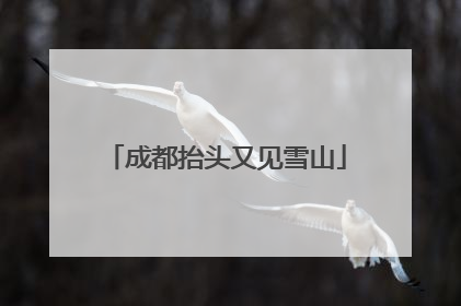 成都抬头又见雪山