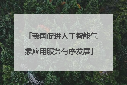 我国促进人工智能气象应用服务有序发展
