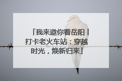 我来邀你看岳阳丨打卡老火车站：穿越时光，焕新归来