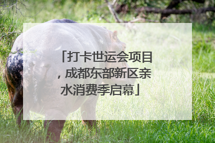 打卡世运会项目，成都东部新区亲水消费季启幕