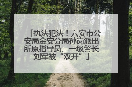 执法犯法！六安市公安局金安分局孙岗派出所原指导员、一级警长刘军被“双开”