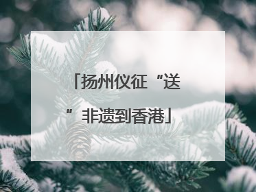 扬州仪征“送”非遗到香港