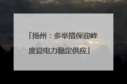 扬州：多举措保迎峰度夏电力稳定供应