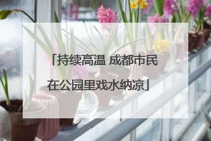 持续高温 成都市民在公园里戏水纳凉