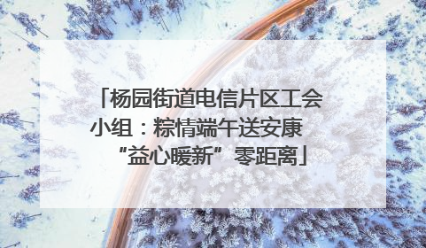 杨园街道电信片区工会小组：粽情端午送安康 “益心暖新”零距离