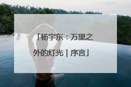 杨宇东：万里之外的灯光｜序言