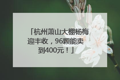 杭州萧山大棚杨梅迎丰收，96颗能卖到400元！
