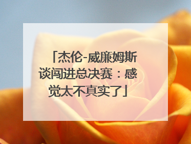 杰伦-威廉姆斯谈闯进总决赛：感觉太不真实了