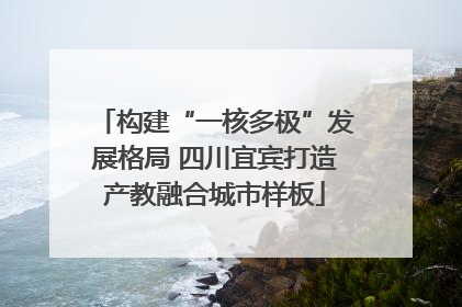 构建“一核多极”发展格局 四川宜宾打造产教融合城市样板