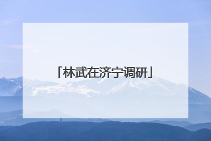 林武在济宁调研