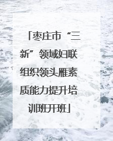 枣庄市“三新”领域妇联组织领头雁素质能力提升培训班开班