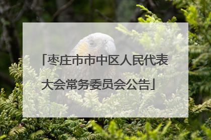 枣庄市市中区人民代表大会常务委员会公告