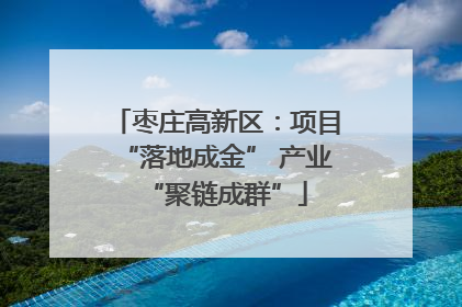 枣庄高新区：项目“落地成金” 产业“聚链成群”