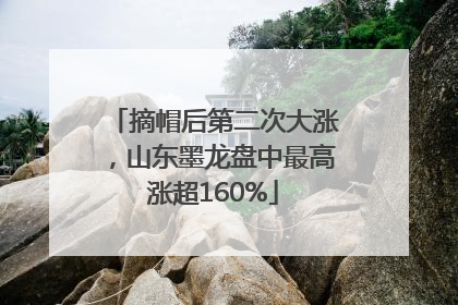 摘帽后第二次大涨，山东墨龙盘中最高涨超160%
