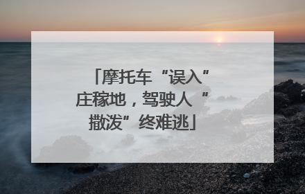 摩托车“误入”庄稼地，驾驶人“撒泼”终难逃