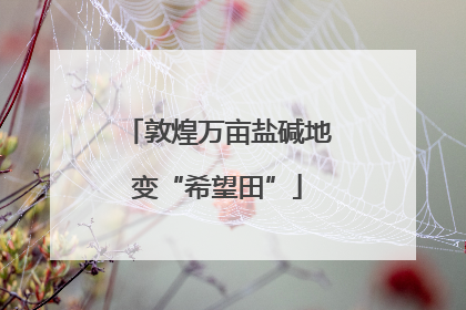 敦煌万亩盐碱地变“希望田”