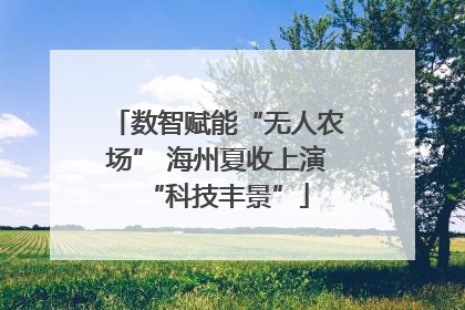 数智赋能“无人农场” 海州夏收上演“科技丰景”